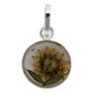 Mini Collar Girasol Encapsulado Amor Mujer Regalo Plata 925